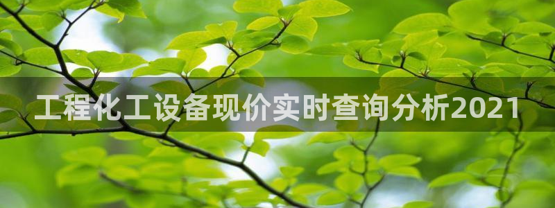 美狮贵宾会合法吗