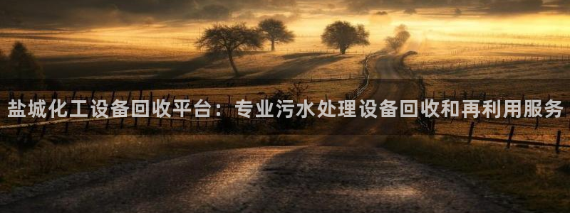 美狮贵宾会怎么不到了