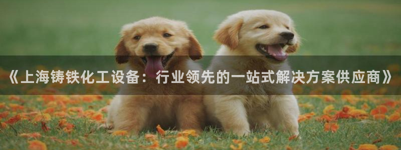美狮会员卡等级