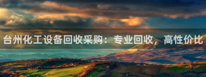 美狮集团有限公司