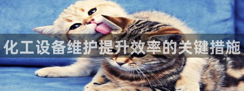美狮会挂机骗局