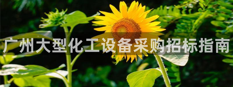 美狮会平台上的钱能取出来吗
