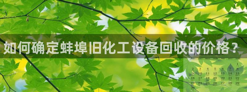 美狮会推荐人