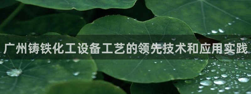 美狮贵宾有人赢过吗