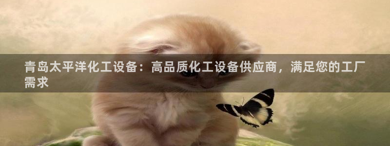 美狮会怎么赚钱