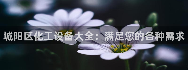 美狮传媒集团简介