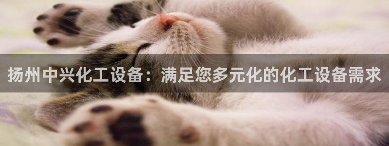 美狮会客服官网