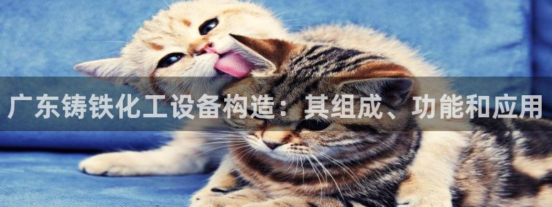美狮会赚钱平台是骗局吗