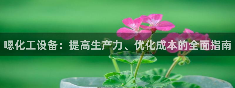 美狮贵宾会输了几万