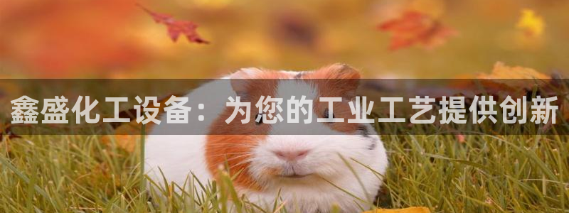 美狮会