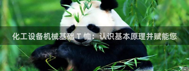 美狮平台