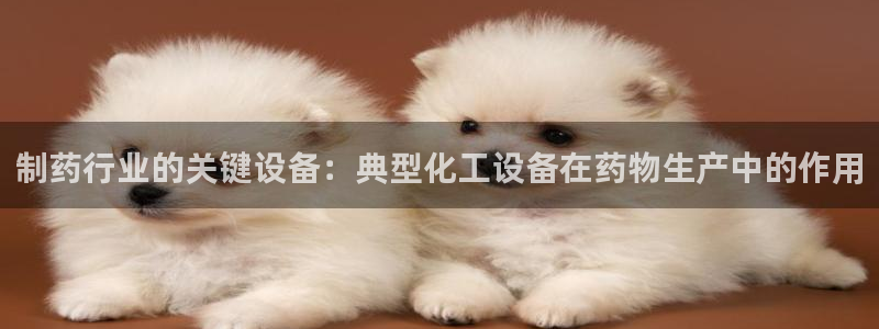 美狮传媒集团有限公司