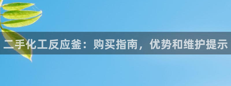 美狮实业有限公司