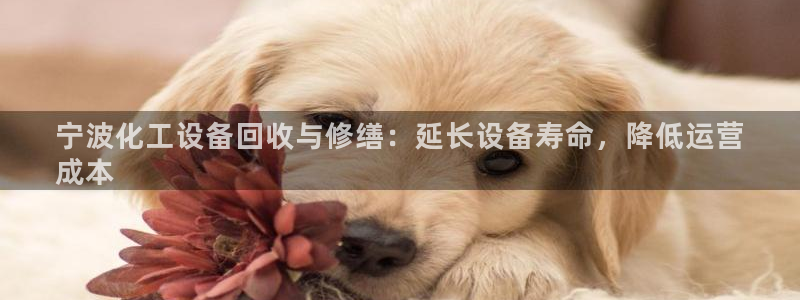 美狮官网