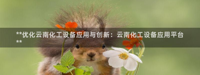 美狮贵宾会会员