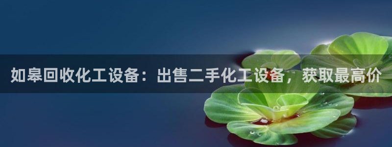 美狮官版2023最新版