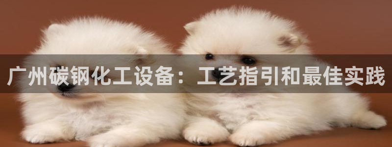 美狮集团