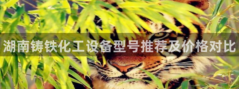 美狮会员卡等级划分表
