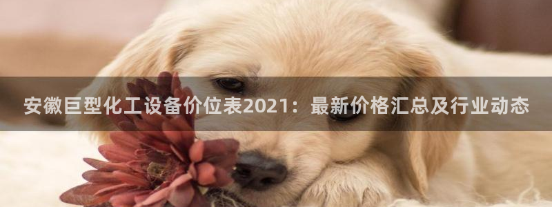 美狮贵宾会会员等级查询