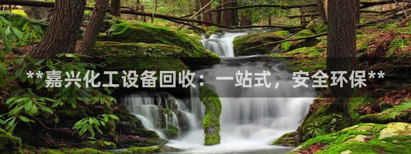 美狮会官网