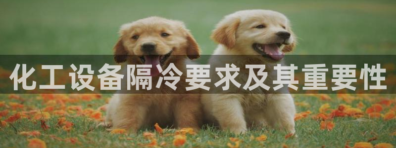 美狮外汇合法吗