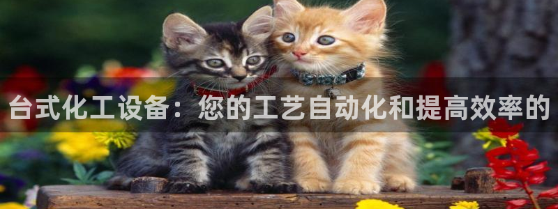 美狮贵宾会邀请码