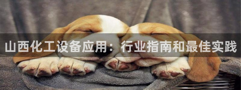 美狮官版2023最新版下载安装