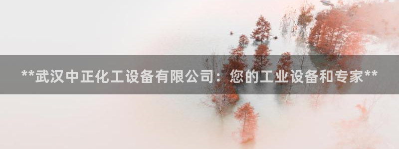 美狮会怎么样