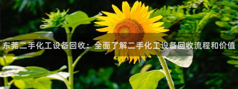 美狮贵宾会不给出款