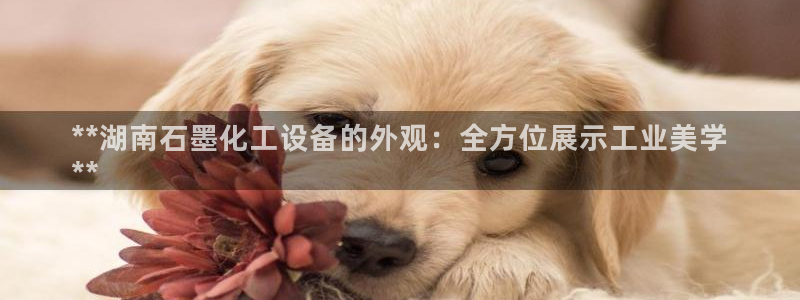 美狮贵宾会网址是什么