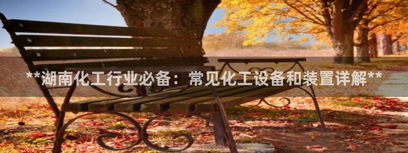 美狮会套利是真的吗