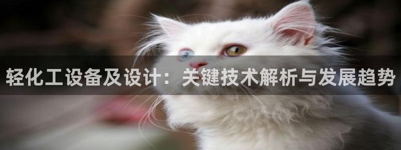 美狮会是什么平台