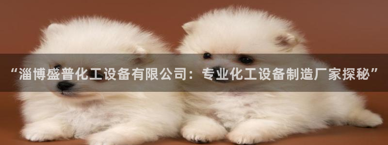 美狮集团财务部待遇