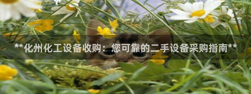 美狮贵宾会会黑钱吗