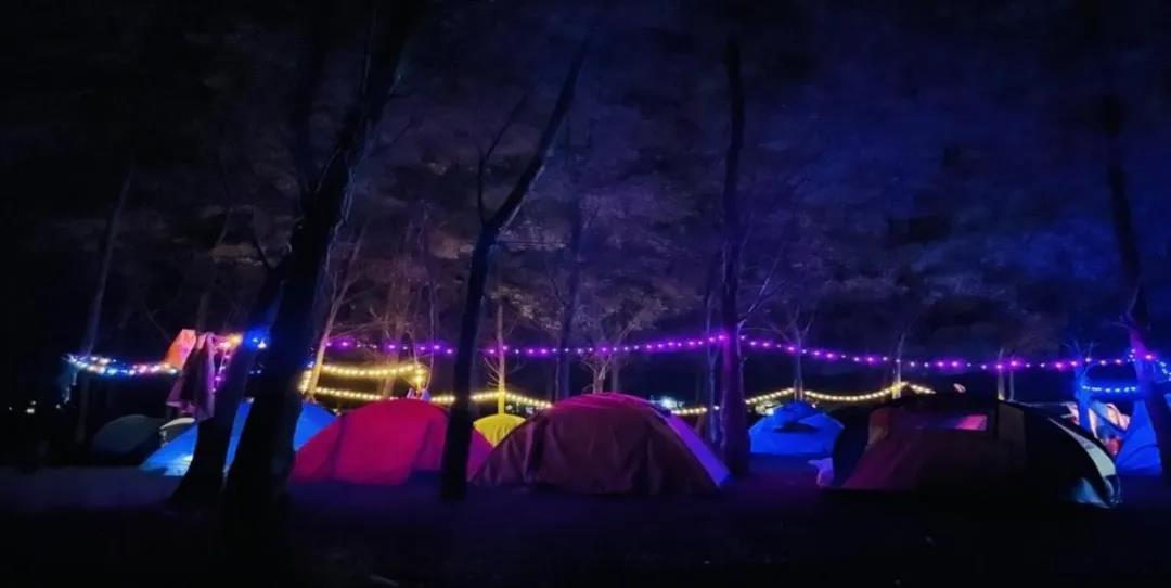 BETWAY¡¤±ØÍþ(Î÷ººÄ·Áª)¹Ù·½ÍøÕ¾-West Ham United