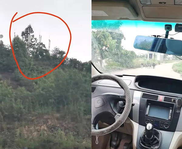 betwayÎ÷ººÄ·¹ÙÍø¹¤³Ìʦ betwayÎ÷ººÄ·¹ÙÍø¹¤³Ìʦ