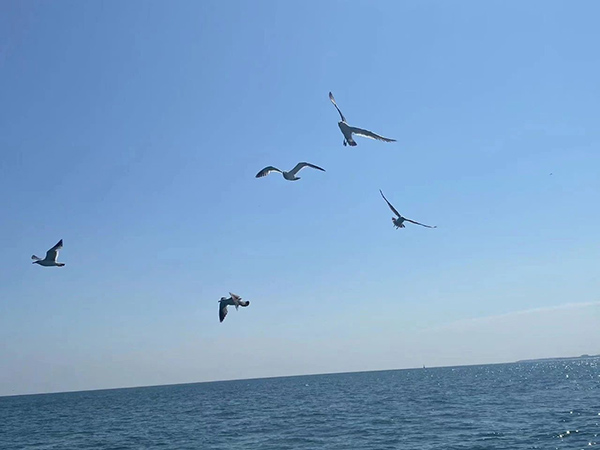 BETWAY¡¤±ØÍþ(Î÷ººÄ·Áª)¹Ù·½ÍøÕ¾-West Ham United