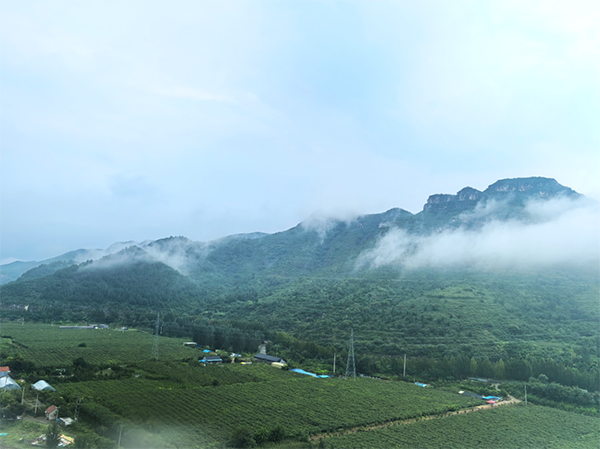 BETWAY·必威(西汉姆联)官方网站-West Ham United