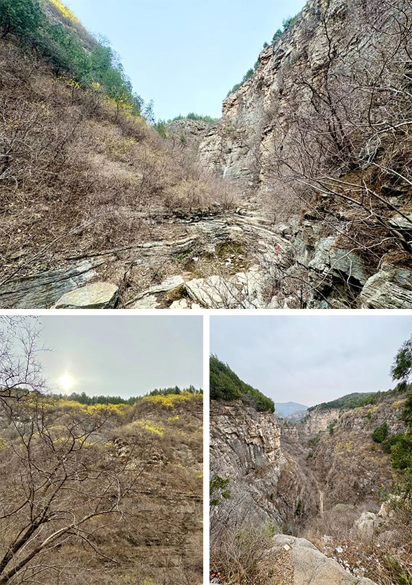 BETWAY·必威(西汉姆联)官方网站-West Ham United